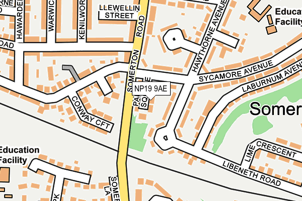 NP19 9AE map - OS OpenMap – Local (Ordnance Survey)