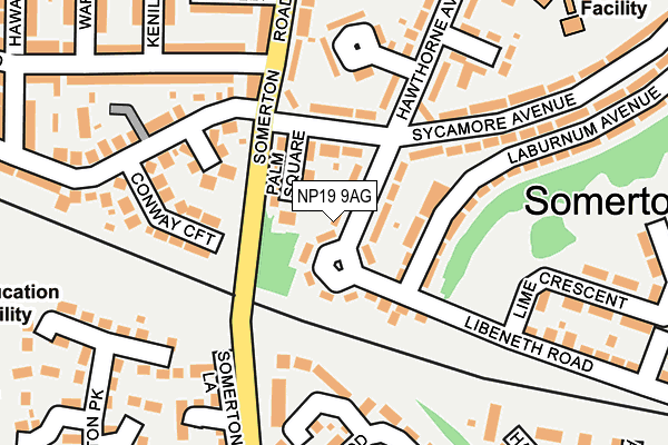 NP19 9AG map - OS OpenMap – Local (Ordnance Survey)