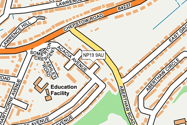 NP19 9AU map - OS OpenMap – Local (Ordnance Survey)