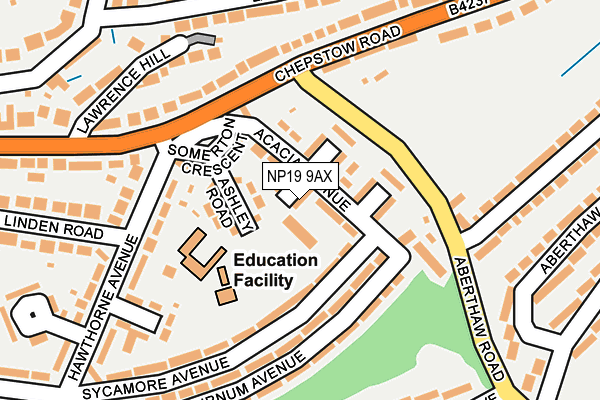 NP19 9AX map - OS OpenMap – Local (Ordnance Survey)