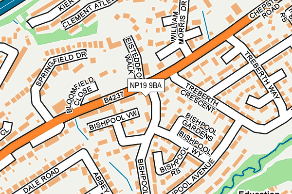 NP19 9BA map - OS OpenMap – Local (Ordnance Survey)