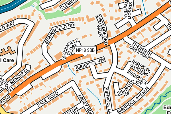 NP19 9BB map - OS OpenMap – Local (Ordnance Survey)