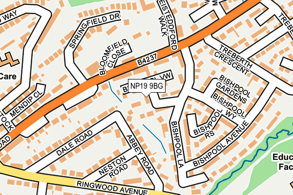 NP19 9BG map - OS OpenMap – Local (Ordnance Survey)