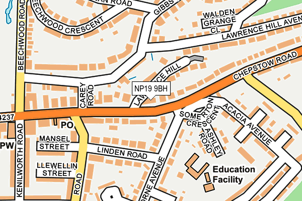 NP19 9BH map - OS OpenMap – Local (Ordnance Survey)