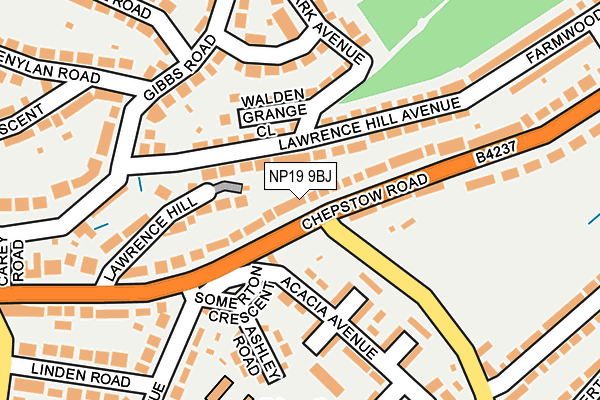 NP19 9BJ map - OS OpenMap – Local (Ordnance Survey)