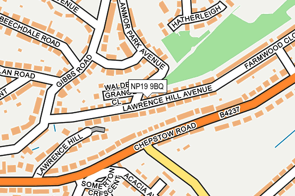 NP19 9BQ map - OS OpenMap – Local (Ordnance Survey)