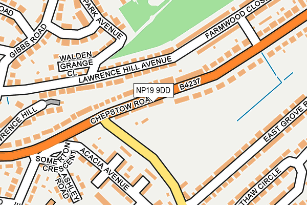 NP19 9DD map - OS OpenMap – Local (Ordnance Survey)