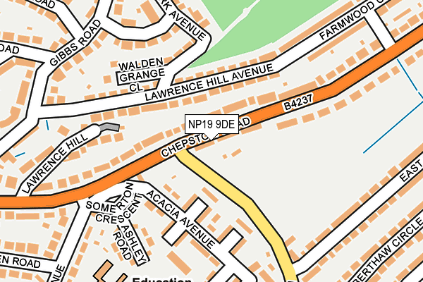 NP19 9DE map - OS OpenMap – Local (Ordnance Survey)