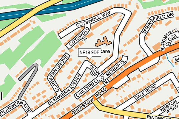 NP19 9DF map - OS OpenMap – Local (Ordnance Survey)