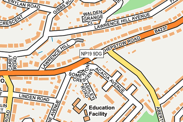 NP19 9DG map - OS OpenMap – Local (Ordnance Survey)