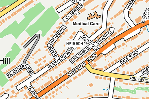 NP19 9DH map - OS OpenMap – Local (Ordnance Survey)