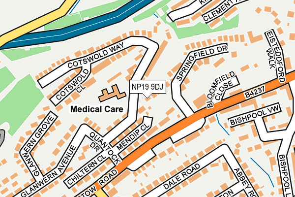 NP19 9DJ map - OS OpenMap – Local (Ordnance Survey)