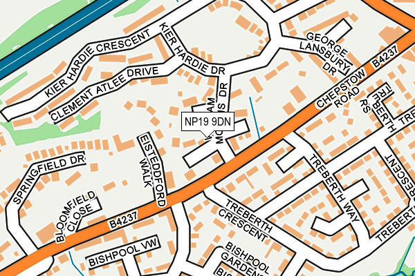 NP19 9DN map - OS OpenMap – Local (Ordnance Survey)