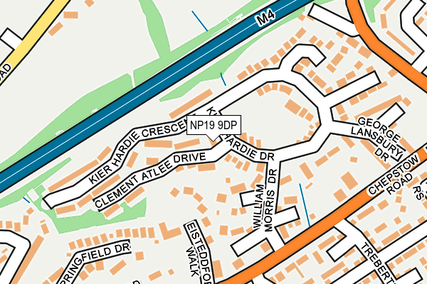 NP19 9DP map - OS OpenMap – Local (Ordnance Survey)