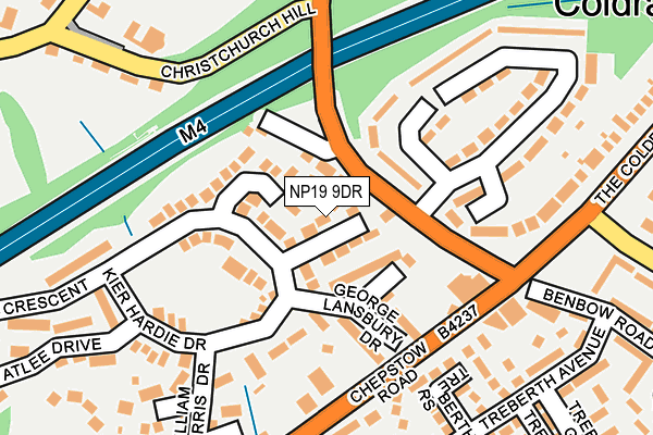 NP19 9DR map - OS OpenMap – Local (Ordnance Survey)