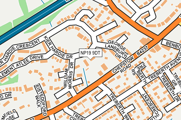 NP19 9DT map - OS OpenMap – Local (Ordnance Survey)