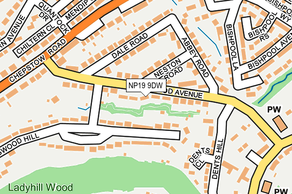 NP19 9DW map - OS OpenMap – Local (Ordnance Survey)