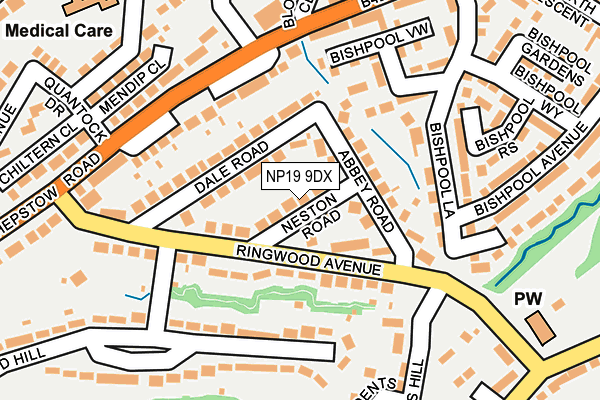 NP19 9DX map - OS OpenMap – Local (Ordnance Survey)