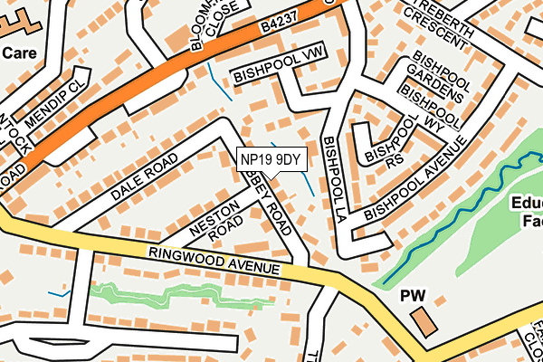 NP19 9DY map - OS OpenMap – Local (Ordnance Survey)