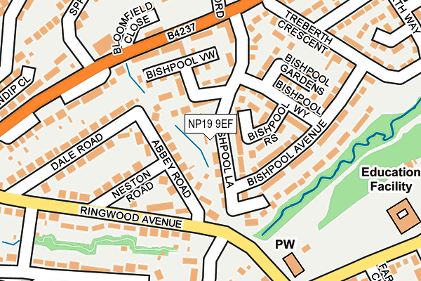NP19 9EF map - OS OpenMap – Local (Ordnance Survey)