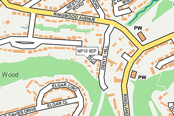 NP19 9EP map - OS OpenMap – Local (Ordnance Survey)