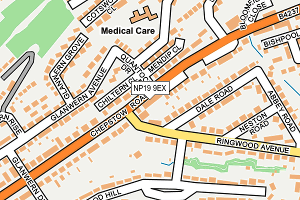 NP19 9EX map - OS OpenMap – Local (Ordnance Survey)