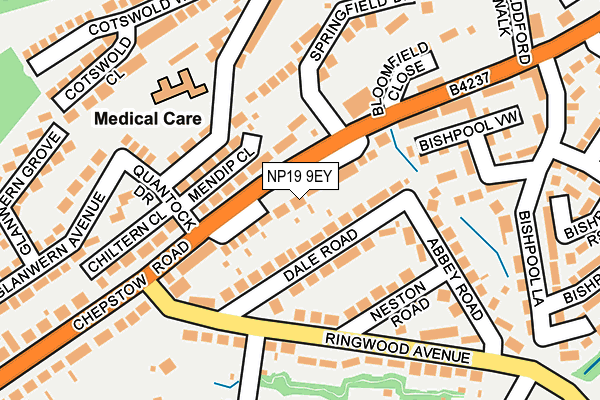 NP19 9EY map - OS OpenMap – Local (Ordnance Survey)