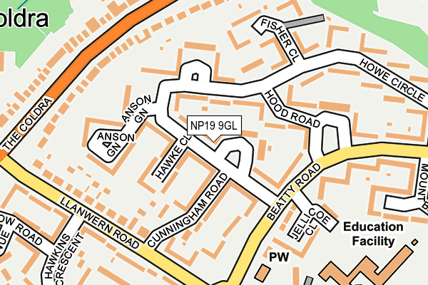 NP19 9GL map - OS OpenMap – Local (Ordnance Survey)