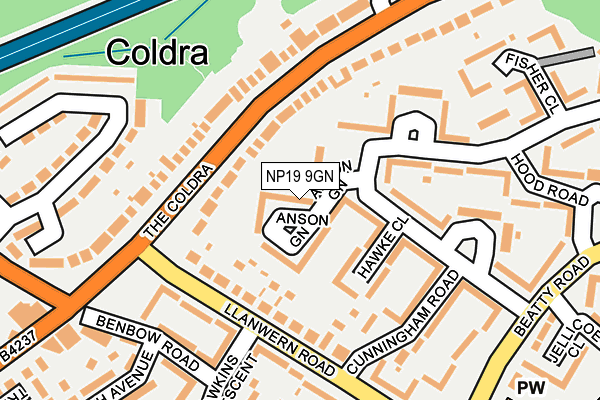 NP19 9GN map - OS OpenMap – Local (Ordnance Survey)