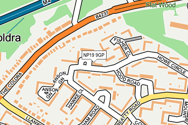 NP19 9GP map - OS OpenMap – Local (Ordnance Survey)