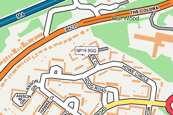 NP19 9GQ map - OS OpenMap – Local (Ordnance Survey)