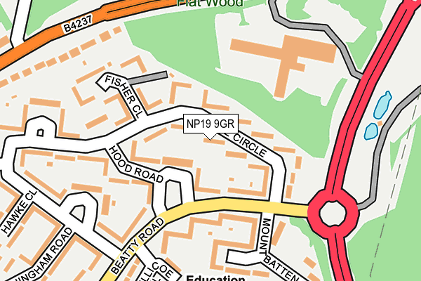 NP19 9GR map - OS OpenMap – Local (Ordnance Survey)