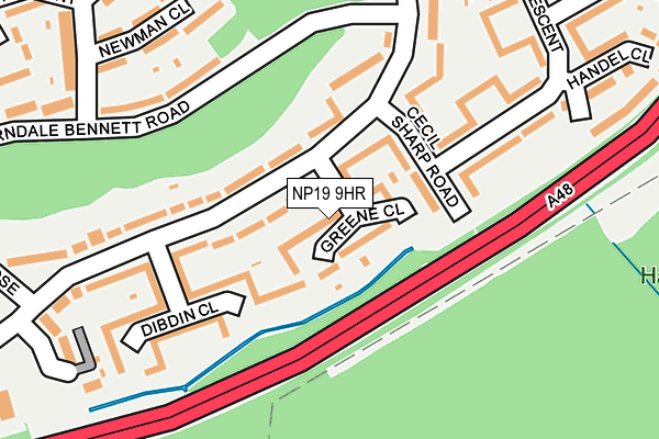 NP19 9HR map - OS OpenMap – Local (Ordnance Survey)