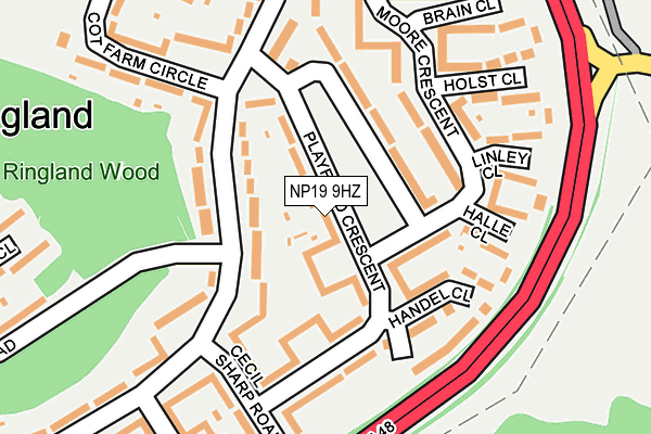 NP19 9HZ map - OS OpenMap – Local (Ordnance Survey)