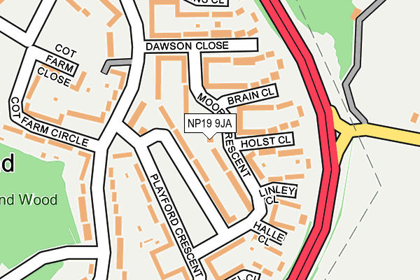 NP19 9JA map - OS OpenMap – Local (Ordnance Survey)