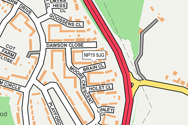 NP19 9JG map - OS OpenMap – Local (Ordnance Survey)