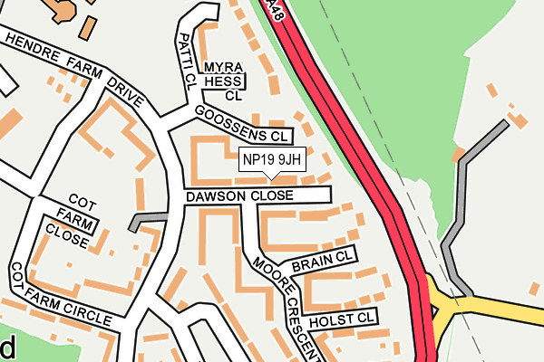 NP19 9JH map - OS OpenMap – Local (Ordnance Survey)