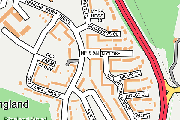 NP19 9JJ map - OS OpenMap – Local (Ordnance Survey)