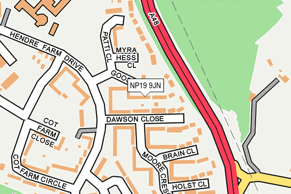 NP19 9JN map - OS OpenMap – Local (Ordnance Survey)