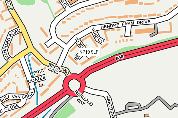 NP19 9LF map - OS OpenMap – Local (Ordnance Survey)