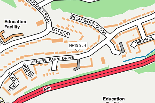 NP19 9LH map - OS OpenMap – Local (Ordnance Survey)