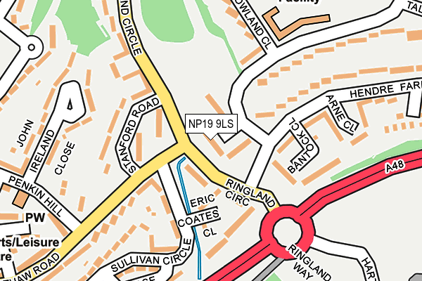 NP19 9LS map - OS OpenMap – Local (Ordnance Survey)