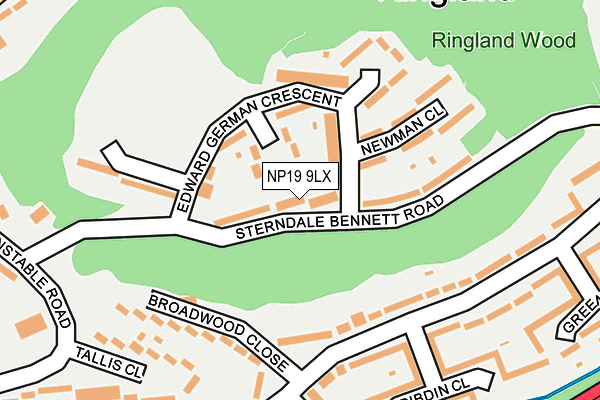 NP19 9LX map - OS OpenMap – Local (Ordnance Survey)