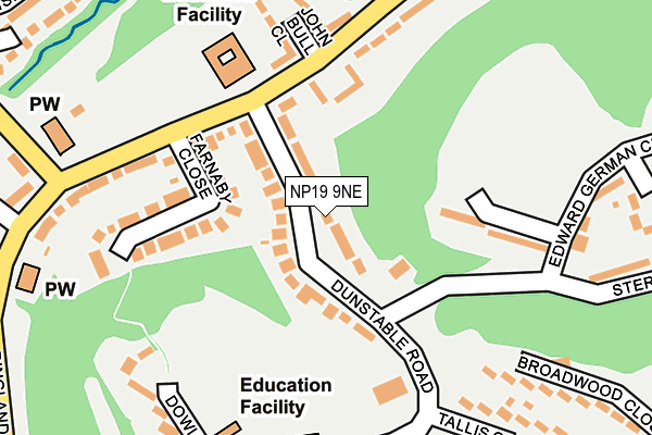 NP19 9NE map - OS OpenMap – Local (Ordnance Survey)
