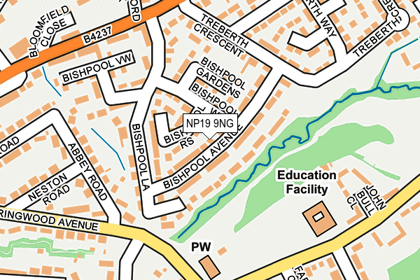 NP19 9NG map - OS OpenMap – Local (Ordnance Survey)