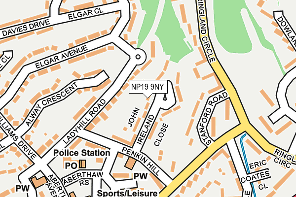 NP19 9NY map - OS OpenMap – Local (Ordnance Survey)
