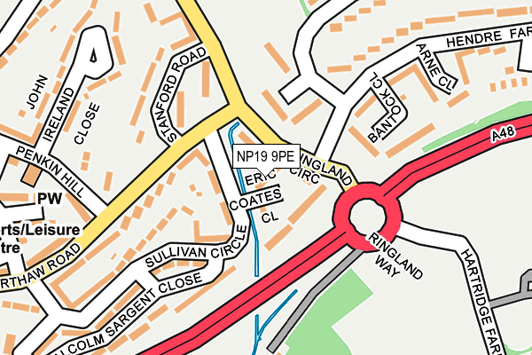 NP19 9PE map - OS OpenMap – Local (Ordnance Survey)