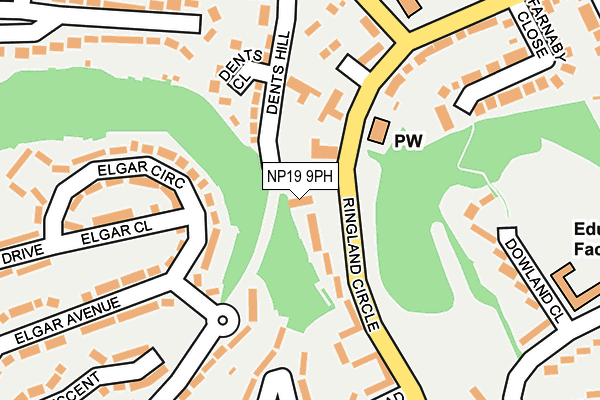 NP19 9PH map - OS OpenMap – Local (Ordnance Survey)