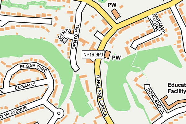 NP19 9PJ map - OS OpenMap – Local (Ordnance Survey)