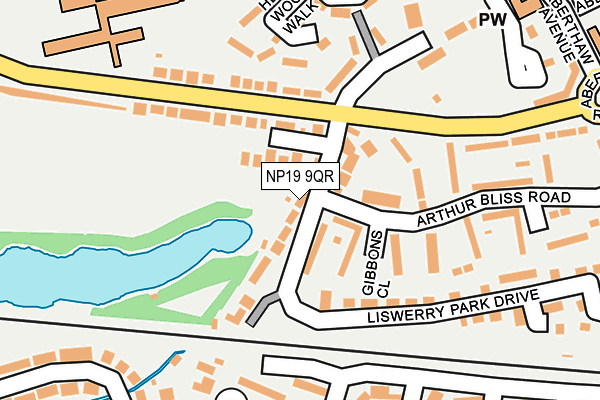 NP19 9QR map - OS OpenMap – Local (Ordnance Survey)